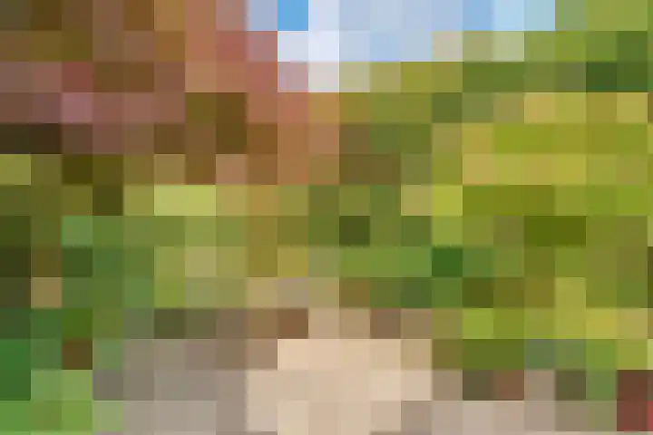 Willem Coxlaan 37 Den Dolder thumbnail 34