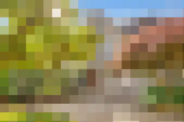 Willem Coxlaan 37 Den Dolder thumbnail 35
