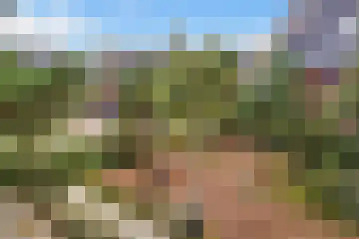Willem Coxlaan 37 Den Dolder thumbnail 38