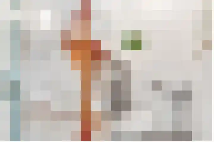 Willem Coxlaan 37 Den Dolder thumbnail 5
