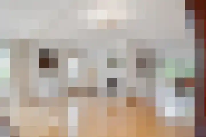Willem Coxlaan 37 Den Dolder thumbnail 7