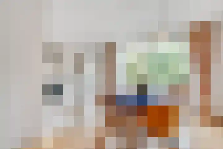 Willem Coxlaan 37 Den Dolder thumbnail 9