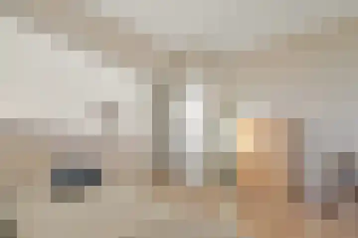 Willem de Bijelaan 117 Voorburg thumbnail 10