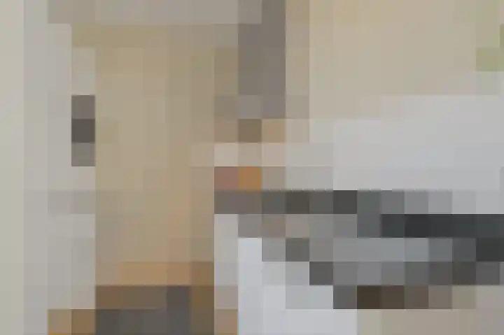 Willem de Bijelaan 117 Voorburg thumbnail 17