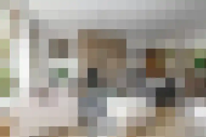 Willem de Bijelaan 139 Voorburg thumbnail 17