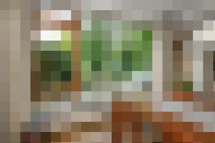 Willem de Bijelaan 139 Voorburg thumbnail 23