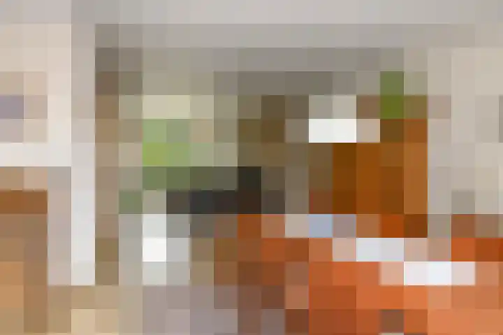 Willem de Bijelaan 139 Voorburg thumbnail 24