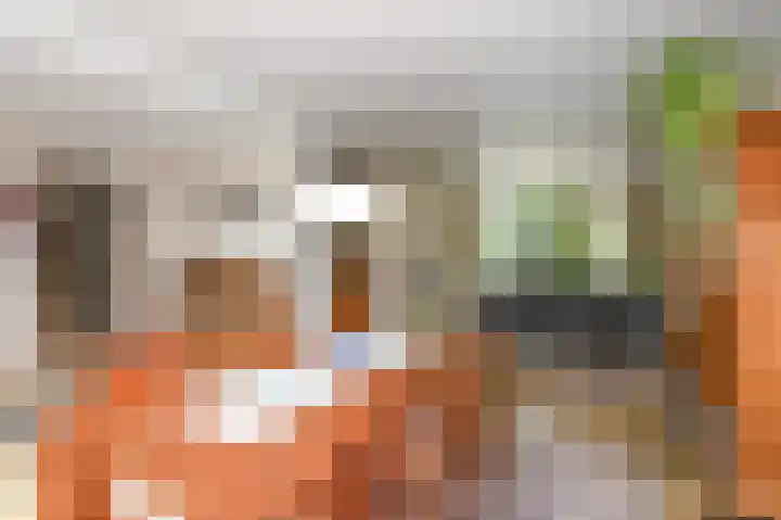 Willem de Bijelaan 139 Voorburg thumbnail 25