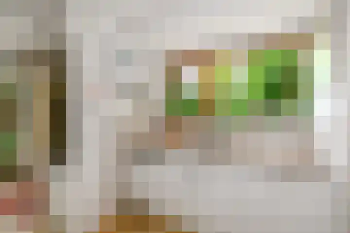 Willem de Bijelaan 139 Voorburg thumbnail 29