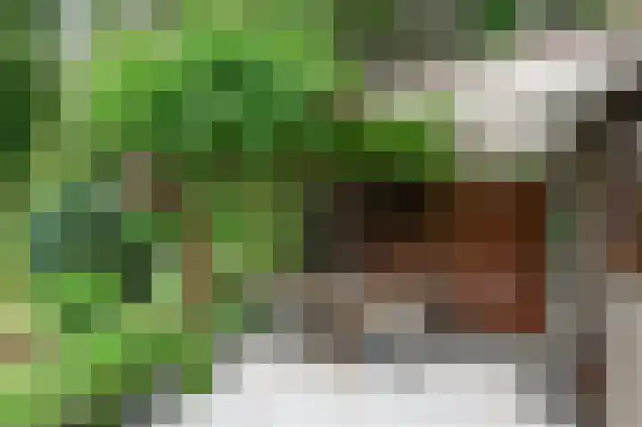 Willem de Bijelaan 139 Voorburg thumbnail 33