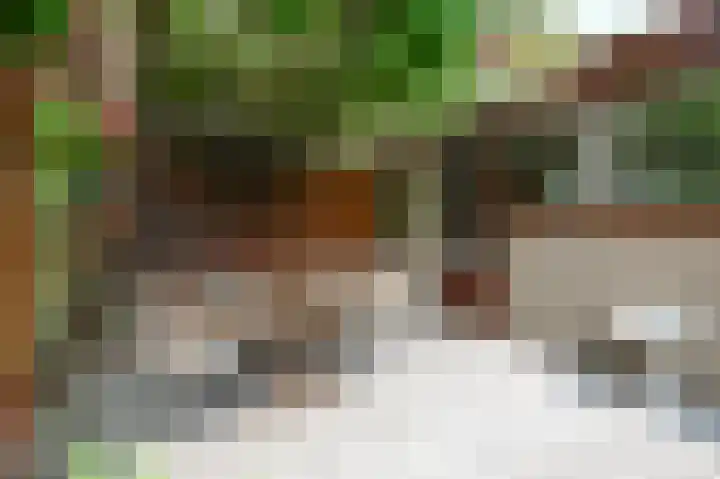 Willem de Bijelaan 139 Voorburg thumbnail 34