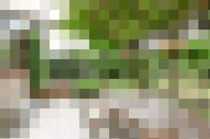 Willem de Bijelaan 139 Voorburg thumbnail 35