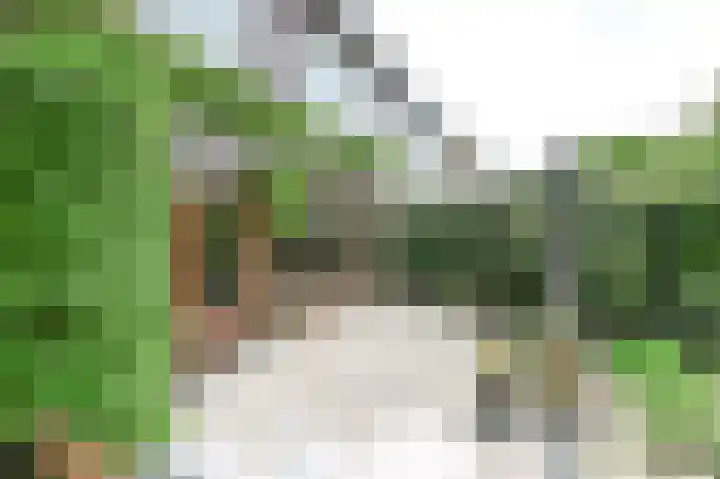 Willem de Bijelaan 139 Voorburg thumbnail 36