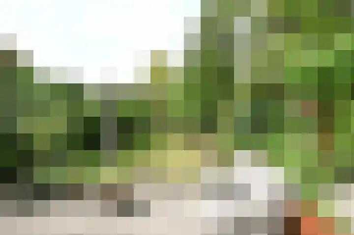 Willem de Bijelaan 139 Voorburg thumbnail 39