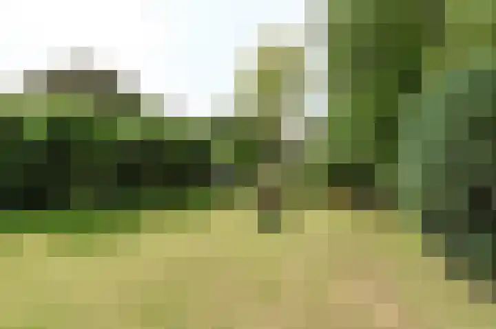 Willem de Bijelaan 139 Voorburg thumbnail 41