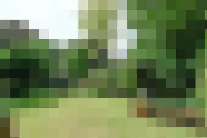 Willem de Bijelaan 139 Voorburg thumbnail 44