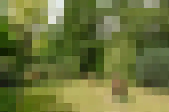 Willem de Bijelaan 139 Voorburg thumbnail 45