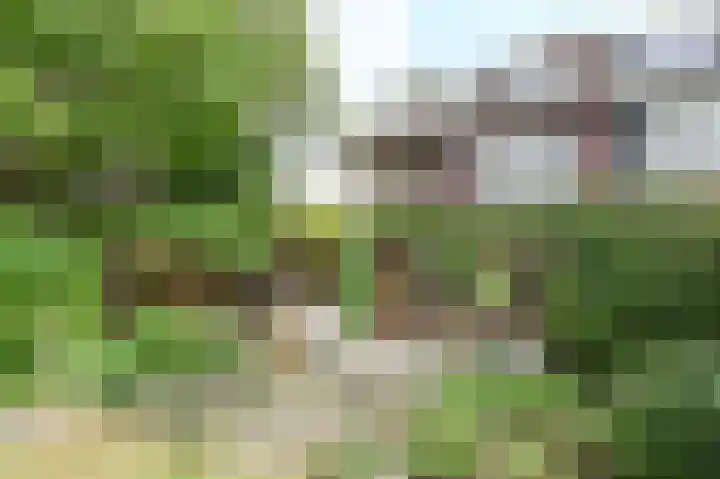 Willem de Bijelaan 139 Voorburg thumbnail 47