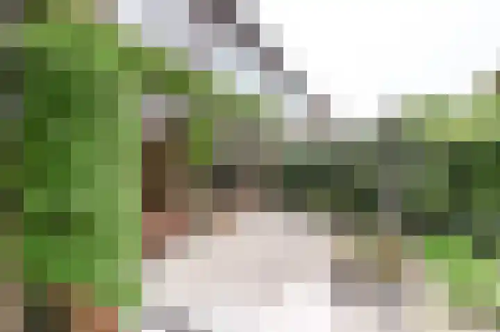 Willem de Bijelaan 139 Voorburg thumbnail 48