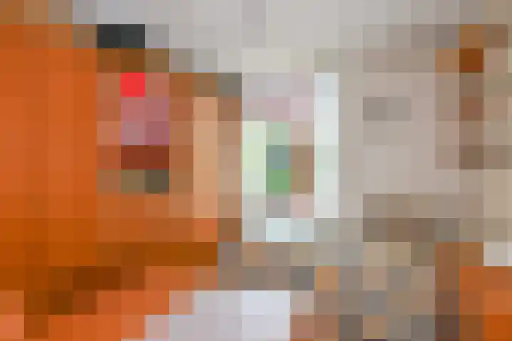 Willem de Bijelaan 139 Voorburg thumbnail 58