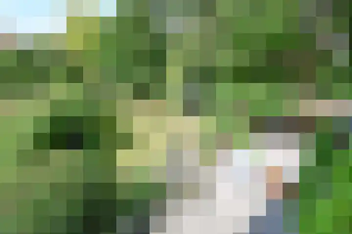 Willem de Bijelaan 139 Voorburg thumbnail 64