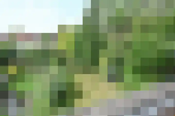 Willem de Bijelaan 139 Voorburg thumbnail 77