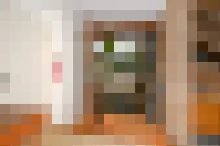 Willem de Bijelaan 139 Voorburg thumbnail 8