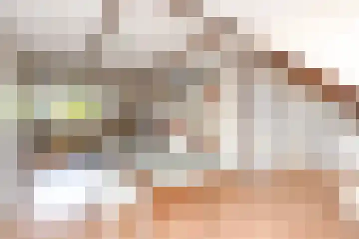 Willem de Bijelaan 139 Voorburg thumbnail 82