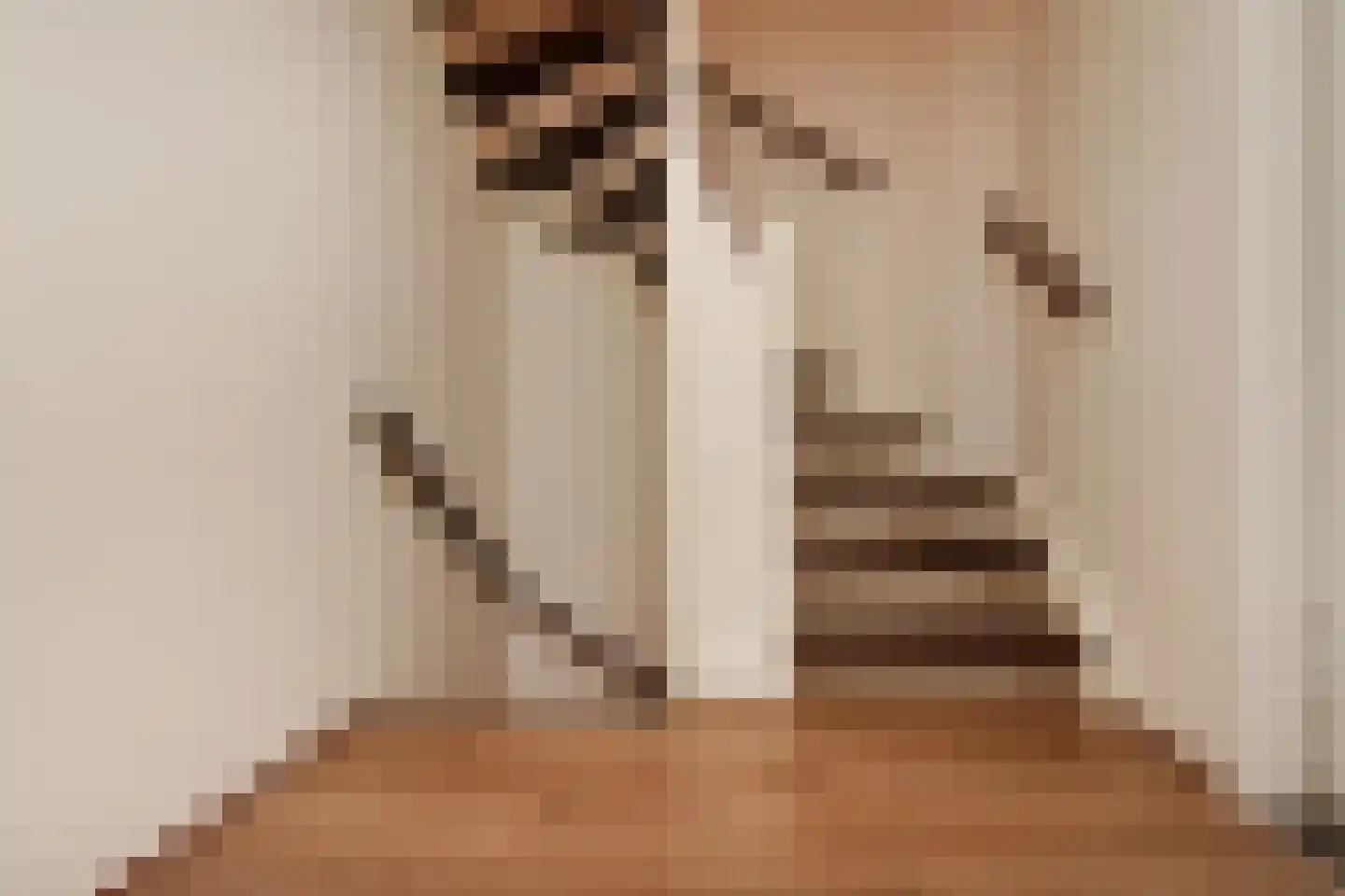 Willem de Bijelaan 67 Voorburg thumbnail 19