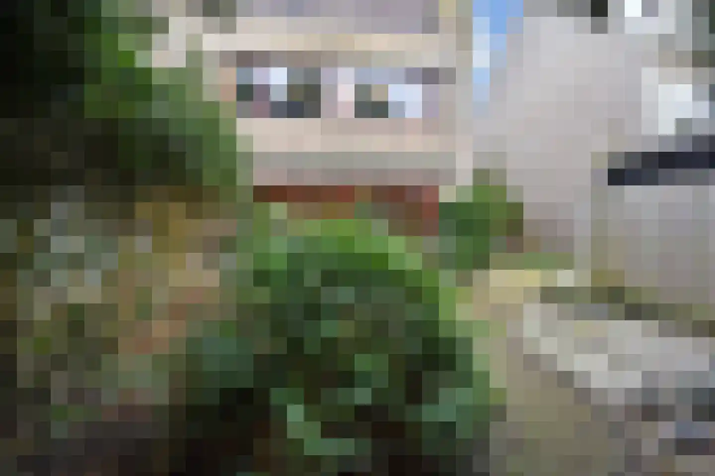 Willem de Bijelaan 67 Voorburg thumbnail 33