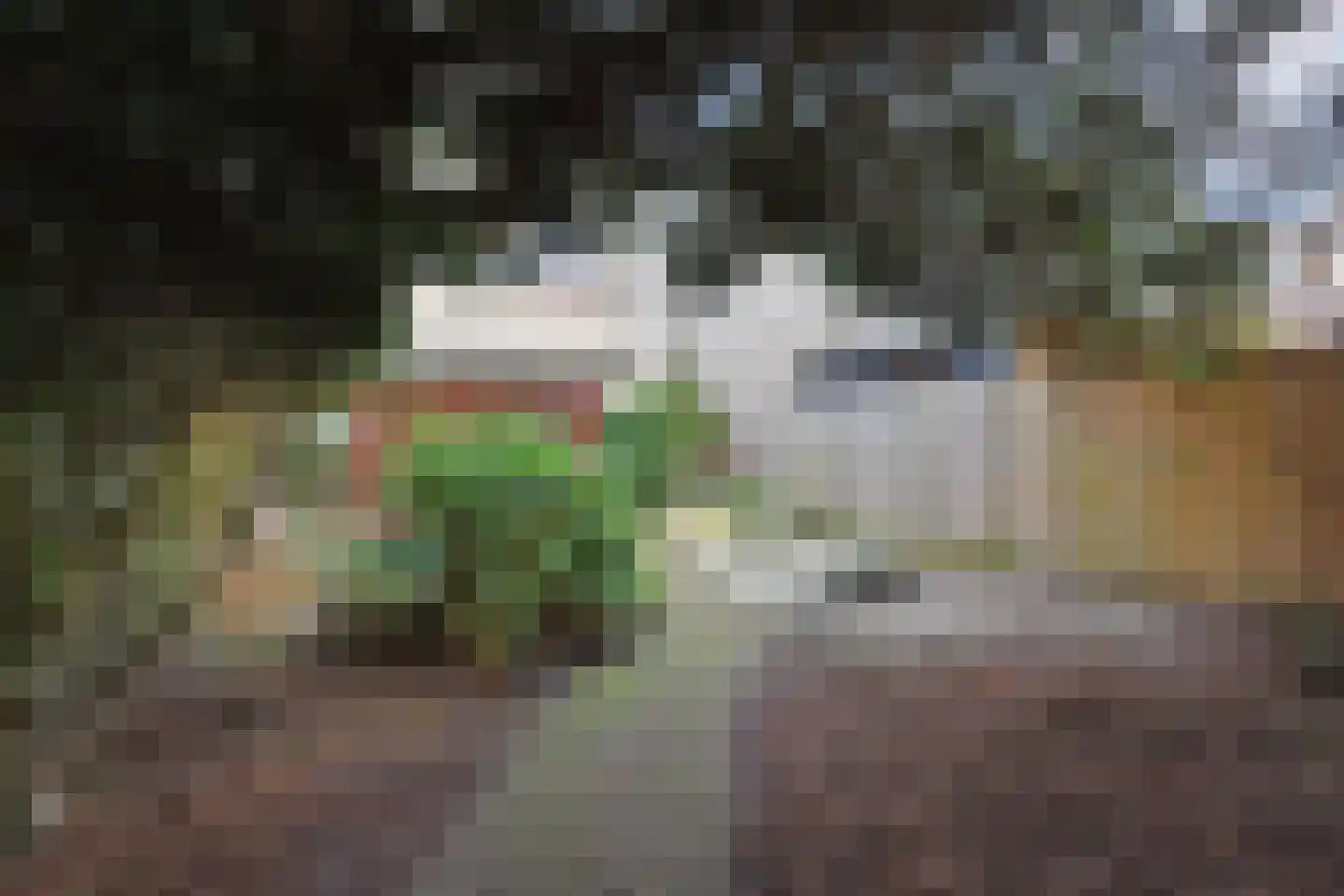 Willem de Bijelaan 67 Voorburg thumbnail 34