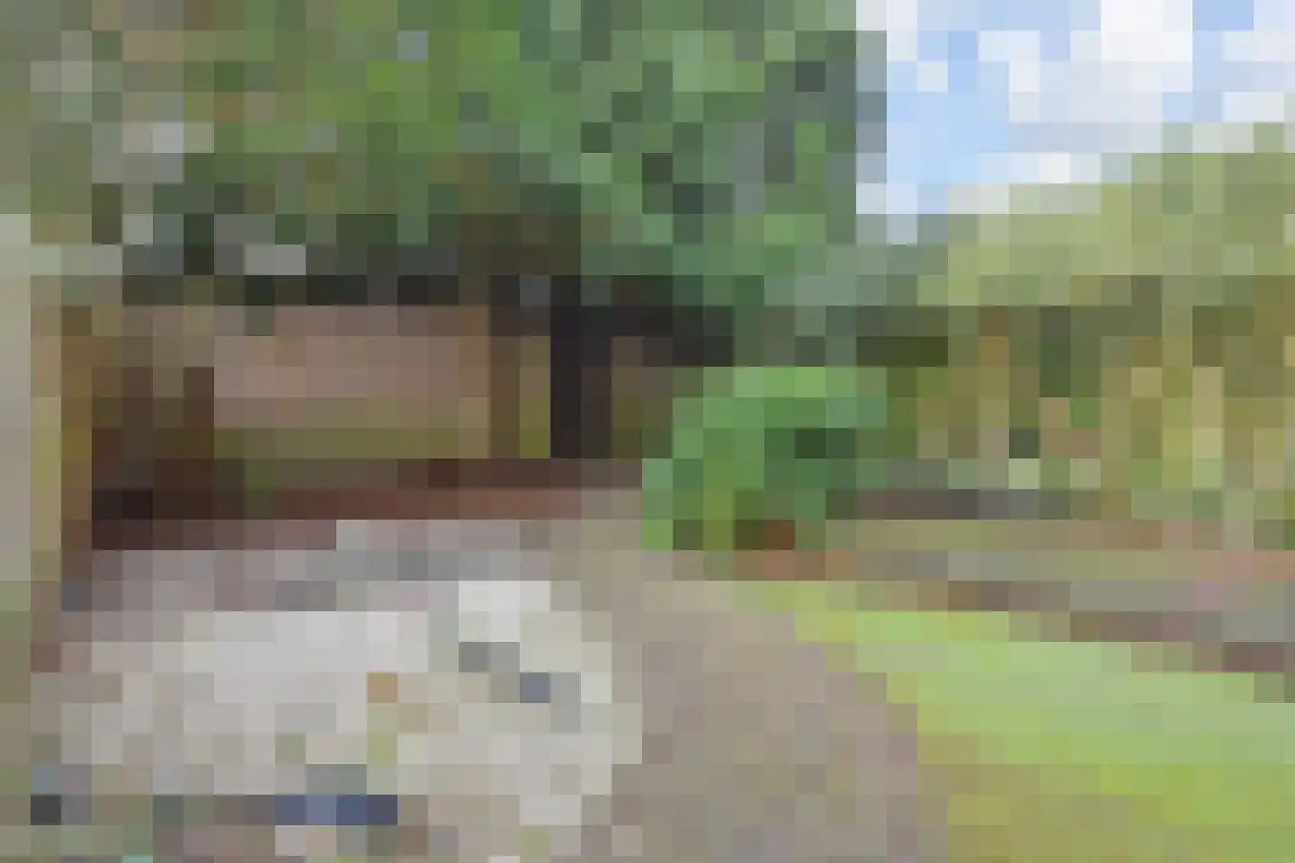 Willem de Bijelaan 67 Voorburg thumbnail 36