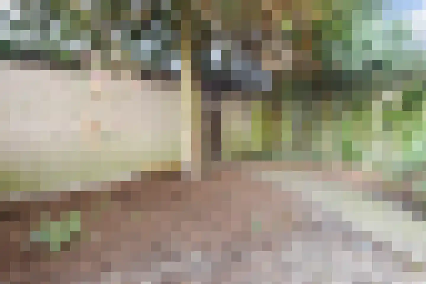 Willem de Bijelaan 67 Voorburg thumbnail 37