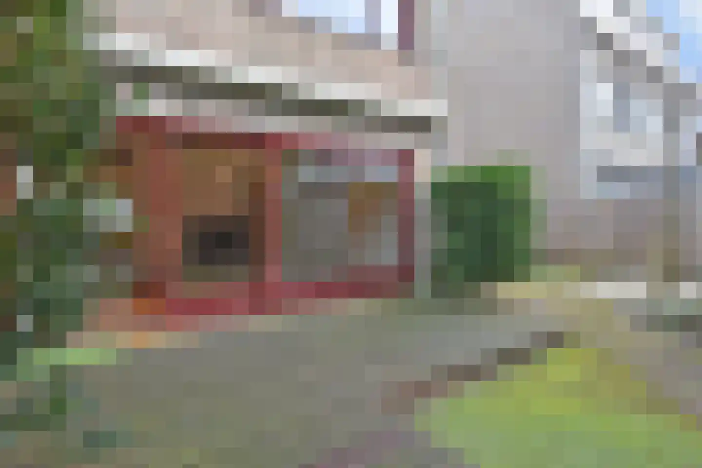Willem de Bijelaan 67 Voorburg thumbnail 39