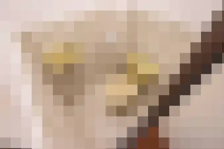 Willem de Bijelaan 69 Voorburg thumbnail 28