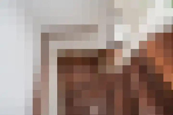 Willem de Bijelaan 69 Voorburg thumbnail 35