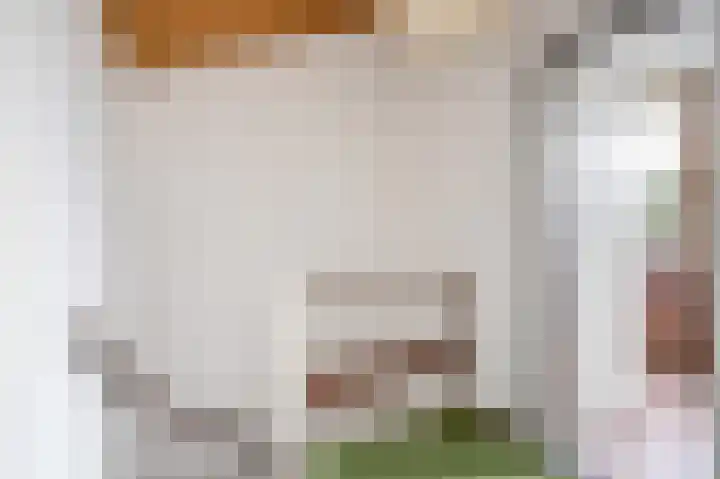 Willem de Bijelaan 69 Voorburg thumbnail 37