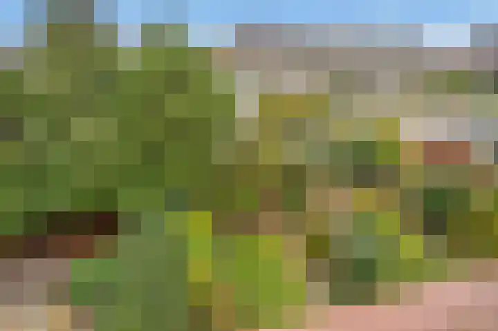 Willem de Bijelaan 69 Voorburg thumbnail 43