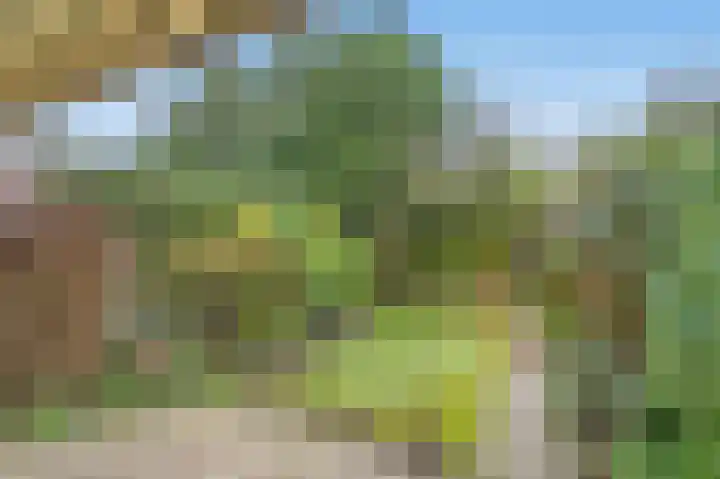 Willem de Bijelaan 69 Voorburg thumbnail 8