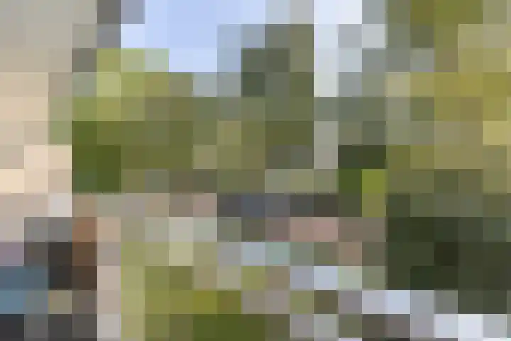 Willem de Bijelaan 93 Voorburg thumbnail 14