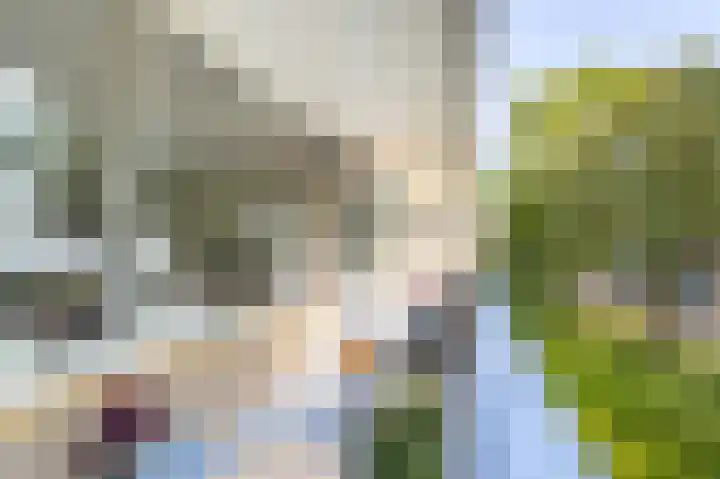 Willem de Bijelaan 93 Voorburg thumbnail 15
