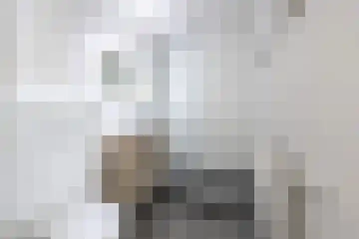 Willem de Bijelaan 93 Voorburg thumbnail 20