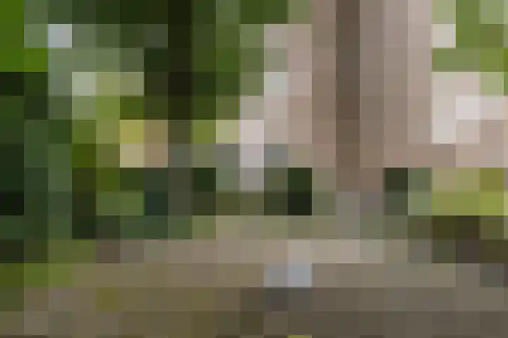 Willem de Bijelaan 93 Voorburg thumbnail 23