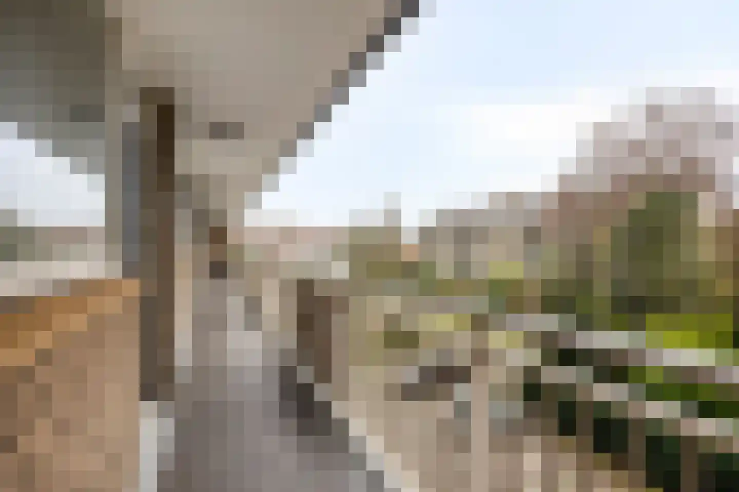 Willem de Bijelaan 99 Voorburg thumbnail 11