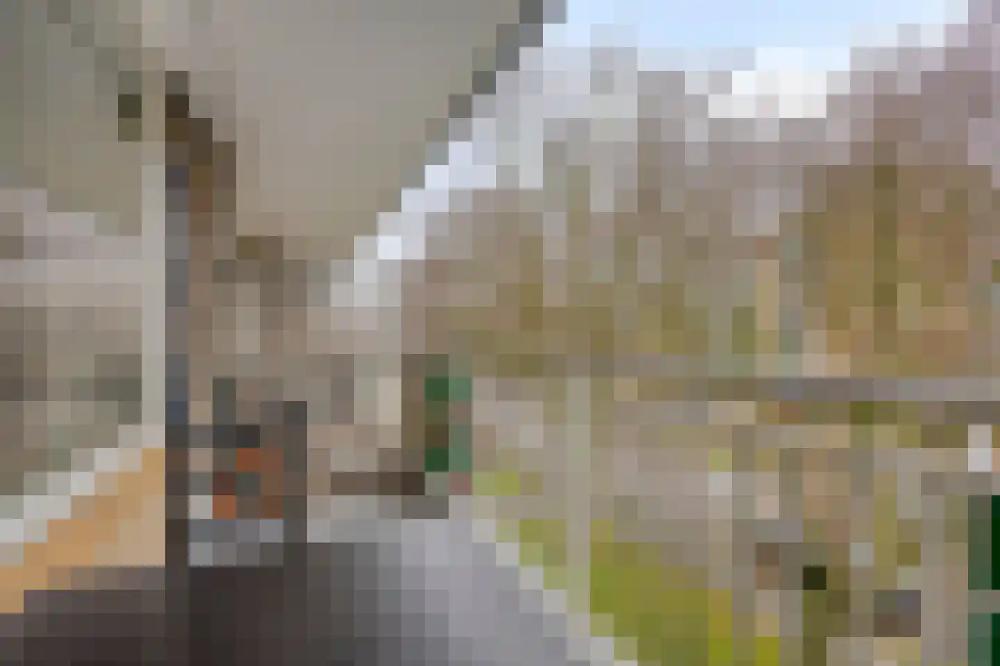 Willem de Bijelaan 99 Voorburg thumbnail 28