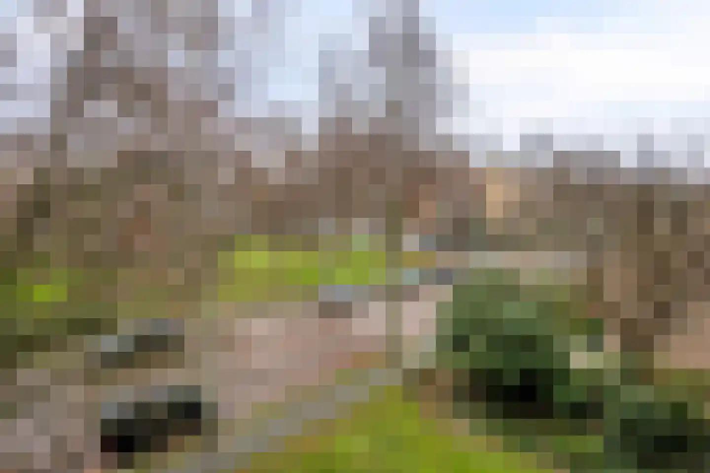 Willem de Bijelaan 99 Voorburg thumbnail 29