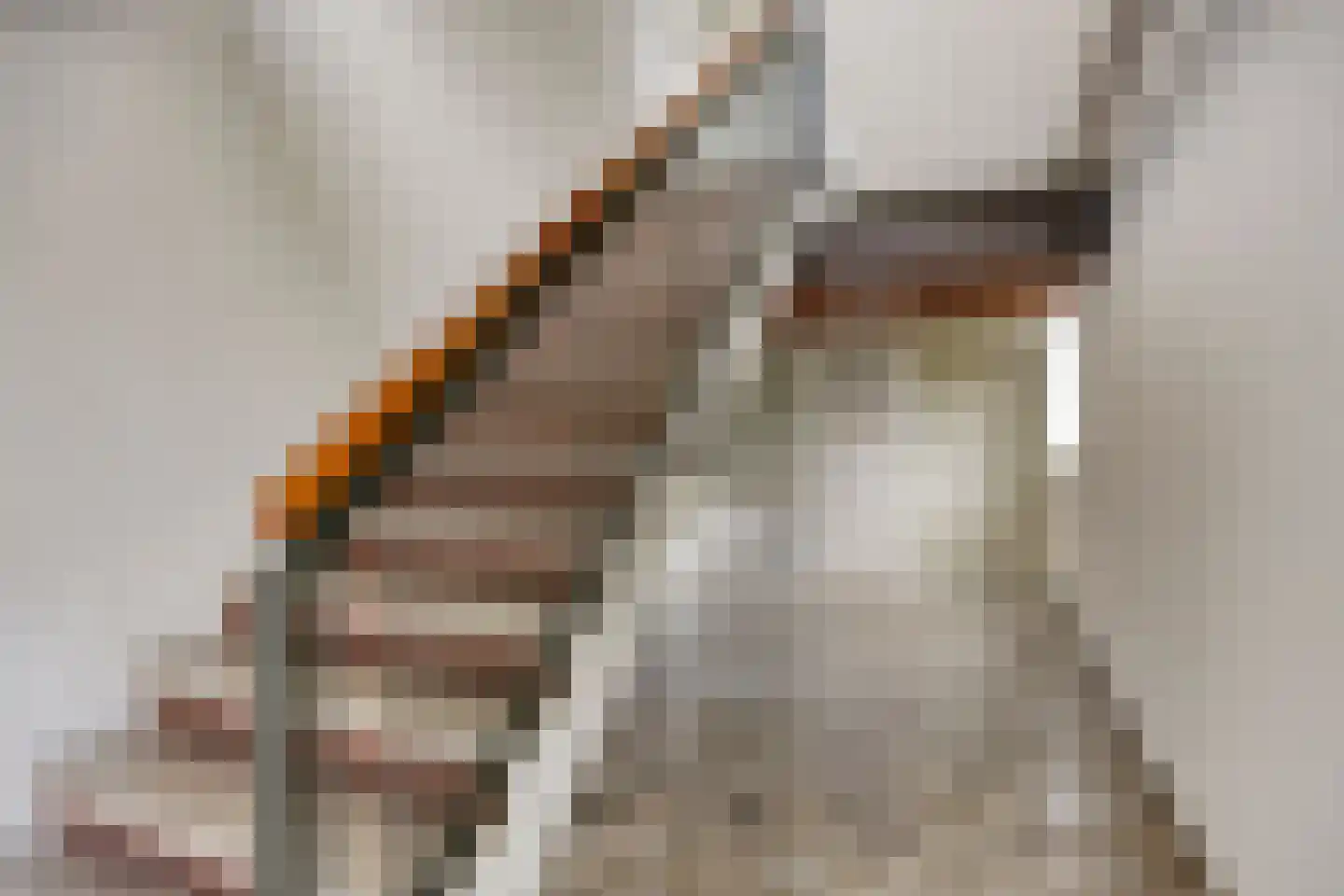 Willem de Bijelaan 99 Voorburg thumbnail 7