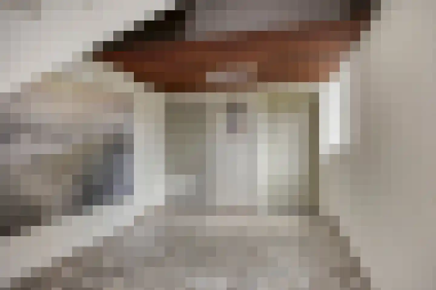 Willem de Bijelaan 99 Voorburg thumbnail 8