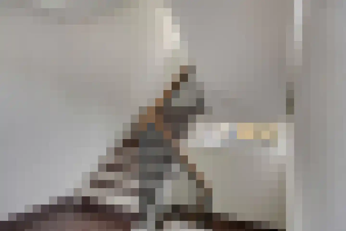 Willem de Bijelaan 99 Voorburg thumbnail 9