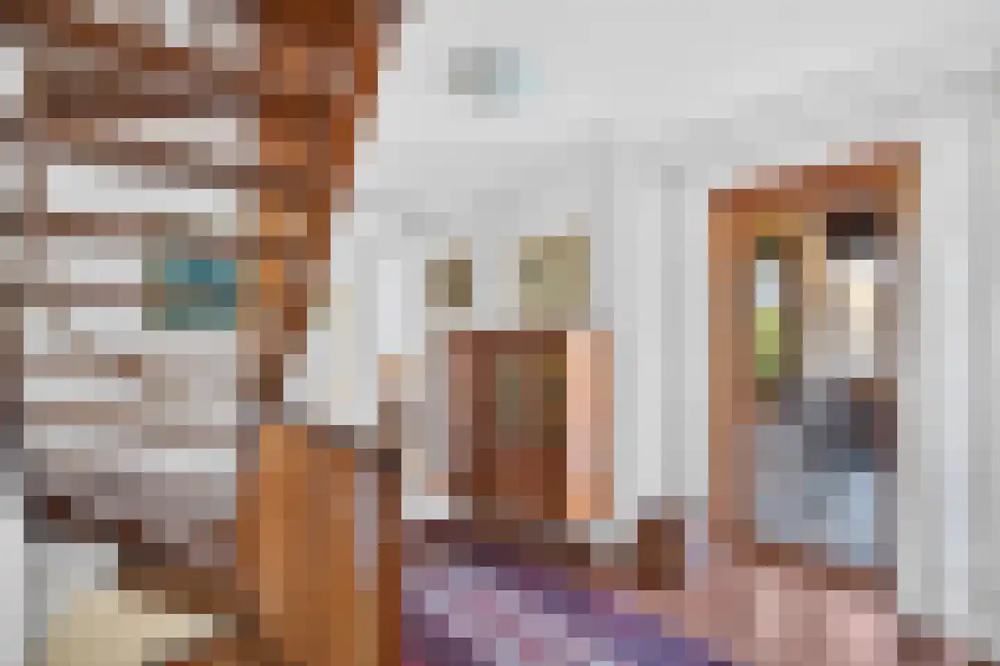 Willem de Bruynstraat 10 Eindhoven thumbnail 24